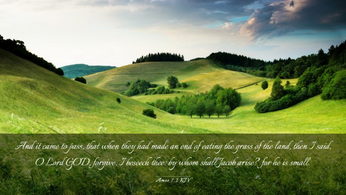 Picture 03 - Amos 7:2 KJV Desktop Wallpaper - And it came to pass, that when they had made an - Desktop Bible Verse Wallpaper