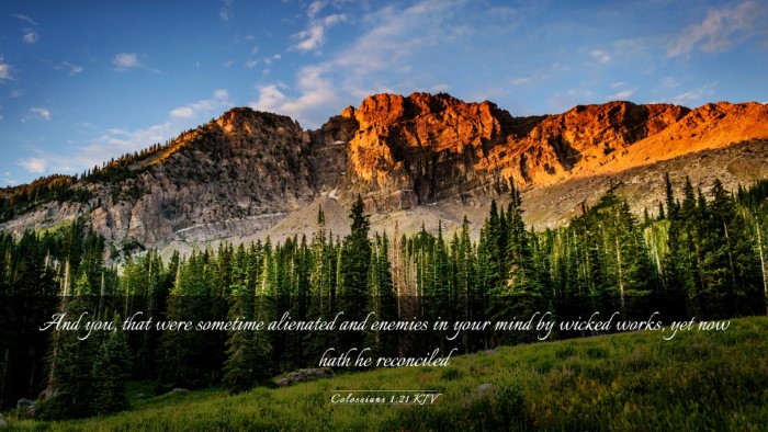 Picture 03 - Colossians 1:21 KJV Desktop Wallpaper - And you, that were sometime alienated and enemies - Desktop Bible Verse Wallpaper