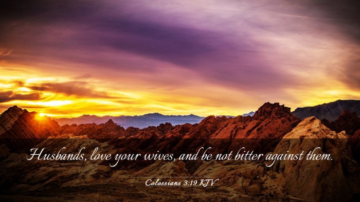 Picture 03 - Colossians 3:19 KJV Desktop Wallpaper - Husbands, love your wives, and be not bitter - Desktop Bible Verse Wallpaper