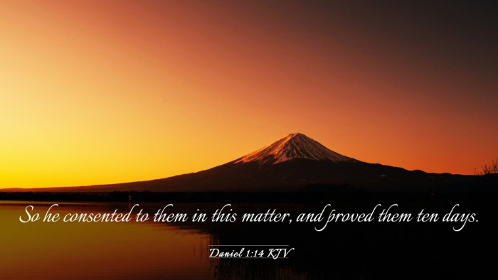 Picture 03 - Daniel 1:14 KJV Desktop Wallpaper - So he consented to them in this matter, and - Desktop Bible Verse Wallpaper