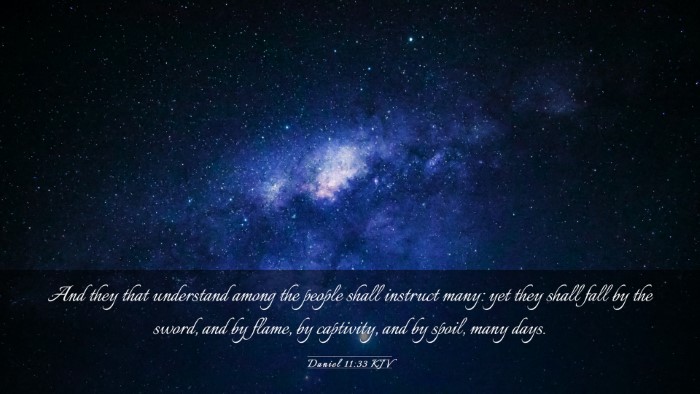 Picture 03 - Daniel 11:33 KJV Desktop Wallpaper - And they that understand among the people shall - Desktop Bible Verse Wallpaper