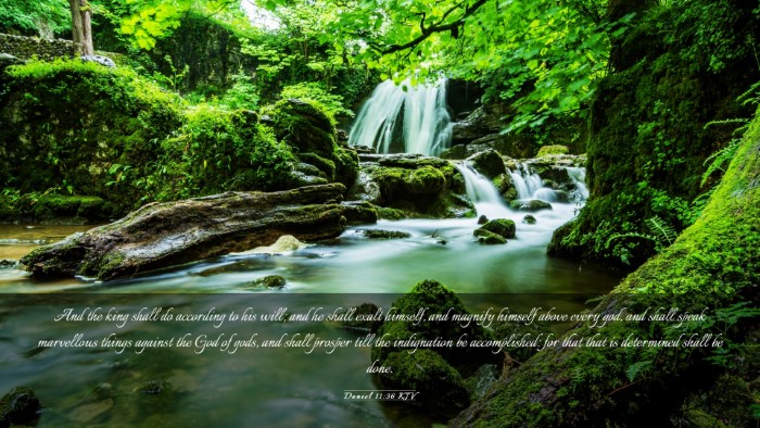 Picture 03 - Daniel 11:36 KJV Desktop Wallpaper - And the king shall do according to his will; and - Desktop Bible Verse Wallpaper