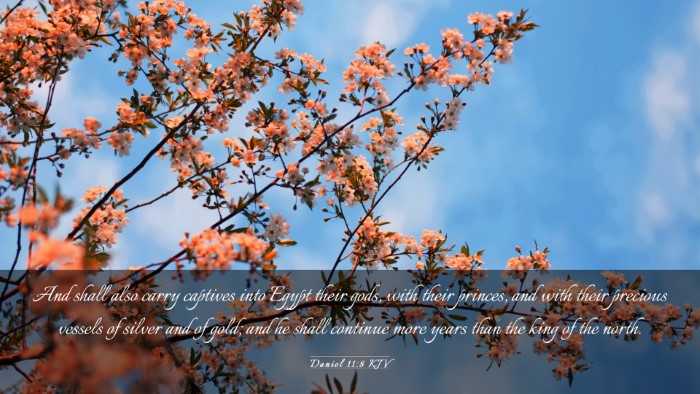 Picture 03 - Daniel 11:8 KJV Desktop Wallpaper - And shall also carry captives into Egypt their - Desktop Bible Verse Wallpaper