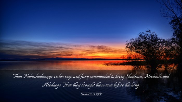 Picture 03 - Daniel 3:13 KJV Desktop Wallpaper - Then Nebuchadnezzar in his rage and fury - Desktop Bible Verse Wallpaper