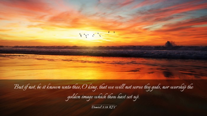 Picture 03 - Daniel 3:18 KJV Desktop Wallpaper - But if not, be it known unto thee, O king, that - Desktop Bible Verse Wallpaper