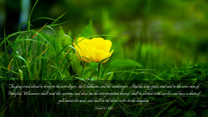 Picture 03 - Daniel 5:7 KJV Desktop Wallpaper - The king cried aloud to bring in the astrologers, - Desktop Bible Verse Wallpaper