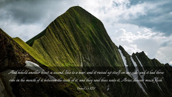 Picture 03 - Daniel 7:5 KJV Desktop Wallpaper - And behold another beast, a second, like to a - Desktop Bible Verse Wallpaper