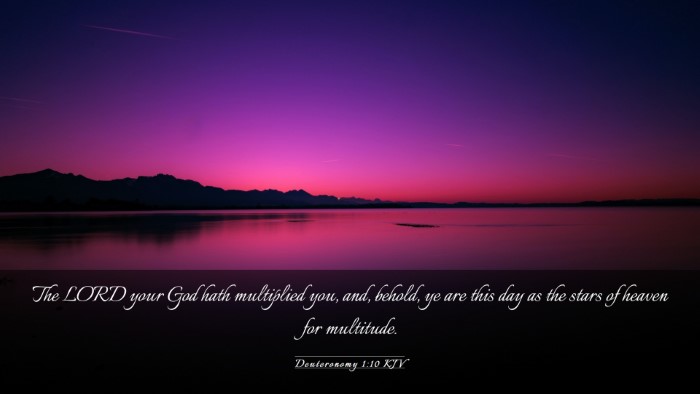 Picture 03 - Deuteronomy 1:10 KJV Desktop Wallpaper - The LORD your God hath multiplied you, and, - Desktop Bible Verse Wallpaper