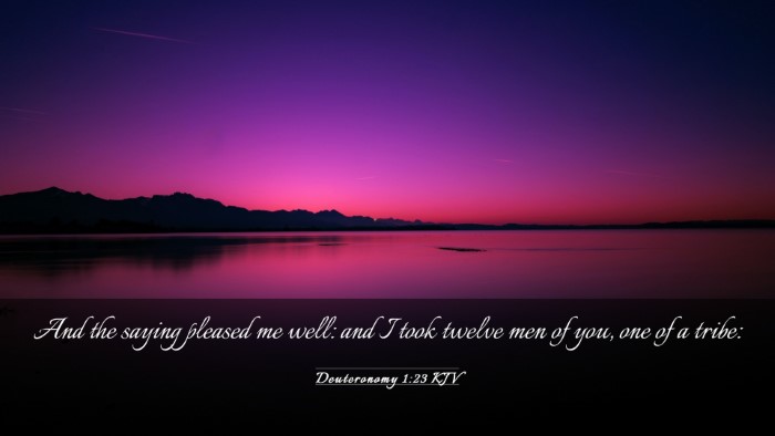 Picture 03 - Deuteronomy 1:23 KJV Desktop Wallpaper - And the saying pleased me well: and I took twelve - Desktop Bible Verse Wallpaper