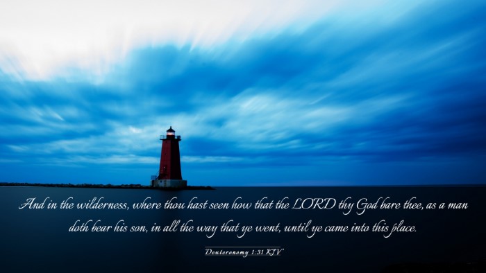 Picture 03 - Deuteronomy 1:31 KJV Desktop Wallpaper - And in the wilderness, where thou hast seen how - Desktop Bible Verse Wallpaper