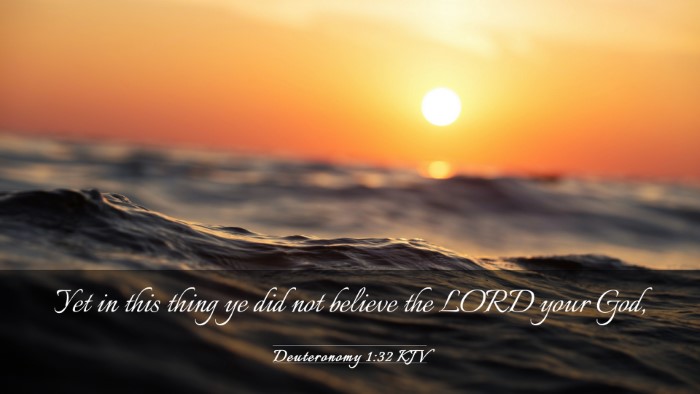 Picture 03 - Deuteronomy 1:32 KJV Desktop Wallpaper - Yet in this thing ye did not believe the LORD - Desktop Bible Verse Wallpaper