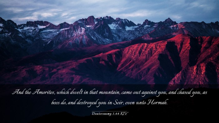 Picture 03 - Deuteronomy 1:44 KJV Desktop Wallpaper - And the Amorites, which dwelt in that mountain, - Desktop Bible Verse Wallpaper