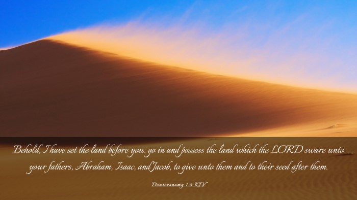 Picture 03 - Deuteronomy 1:8 KJV Desktop Wallpaper - Behold, I have set the land before you: go in and - Desktop Bible Verse Wallpaper