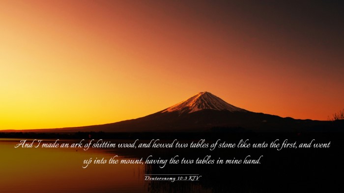 Picture 03 - Deuteronomy 10:3 KJV Desktop Wallpaper - And I made an ark of shittim wood, and hewed two - Desktop Bible Verse Wallpaper