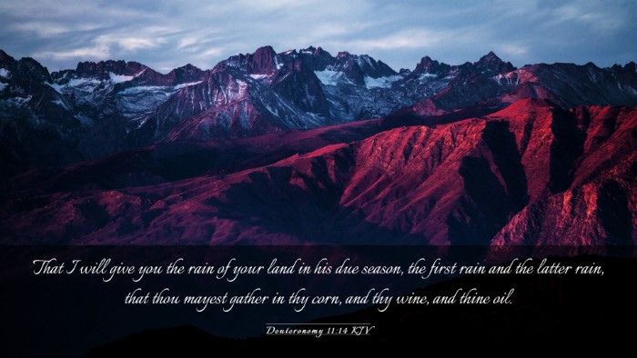 Picture 03 - Deuteronomy 11:14 KJV Desktop Wallpaper - That I will give you the rain of your land in his - Desktop Bible Verse Wallpaper