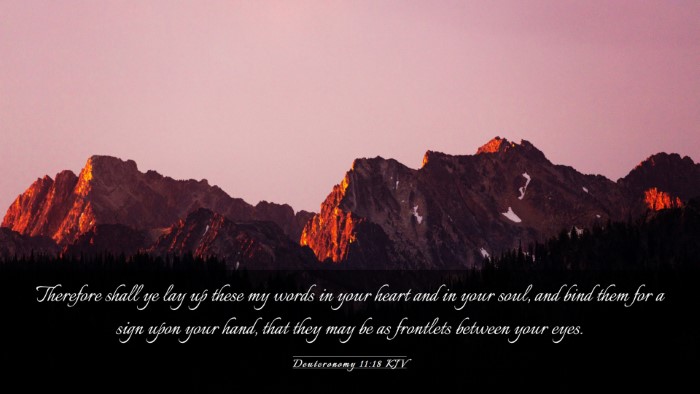 Picture 03 - Deuteronomy 11:18 KJV Desktop Wallpaper - Therefore shall ye lay up these my words in your - Desktop Bible Verse Wallpaper
