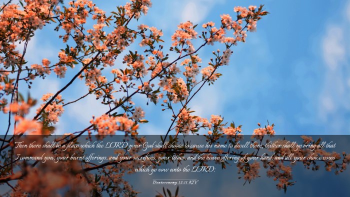 Picture 03 - Deuteronomy 12:11 KJV Desktop Wallpaper - Then there shall be a place which the LORD your - Desktop Bible Verse Wallpaper