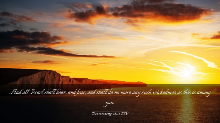 Picture 03 - Deuteronomy 13:11 KJV Desktop Wallpaper - And all Israel shall hear, and fear, and shall do - Desktop Bible Verse Wallpaper