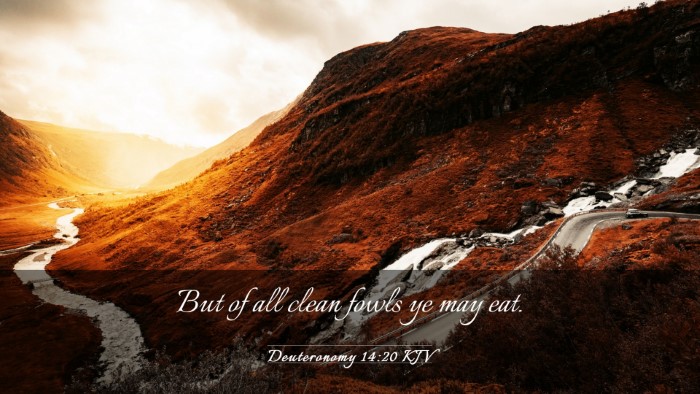 Picture 03 - Deuteronomy 14:20 KJV Desktop Wallpaper - But of all clean fowls ye may - Desktop Bible Verse Wallpaper