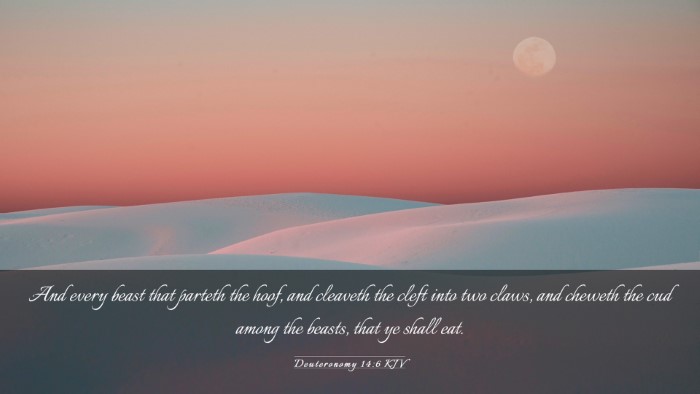 Picture 03 - Deuteronomy 14:6 KJV Desktop Wallpaper - And every beast that parteth the hoof, and - Desktop Bible Verse Wallpaper