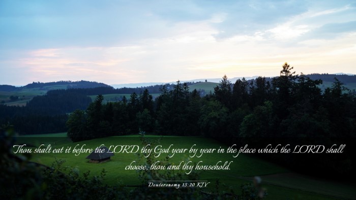 Picture 03 - Deuteronomy 15:20 KJV Desktop Wallpaper - Thou shalt eat it before the LORD thy God year by - Desktop Bible Verse Wallpaper