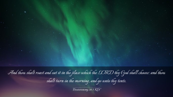Picture 03 - Deuteronomy 16:7 KJV Desktop Wallpaper - And thou shalt roast and eat it in the place - Desktop Bible Verse Wallpaper