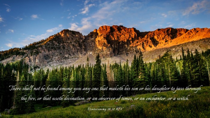 Picture 03 - Deuteronomy 18:10 KJV Desktop Wallpaper - There shall not be found among you any one that - Desktop Bible Verse Wallpaper