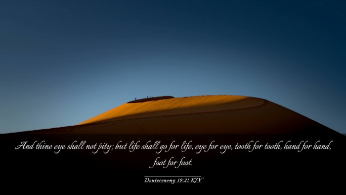 Picture 03 - Deuteronomy 19:21 KJV Desktop Wallpaper - And thine eye shall not pity; but life shall go - Desktop Bible Verse Wallpaper