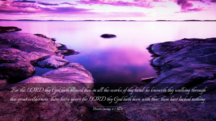 Picture 03 - Deuteronomy 2:7 KJV Desktop Wallpaper - For the LORD thy God hath blessed thee in all the - Desktop Bible Verse Wallpaper