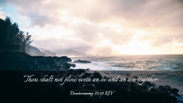 Picture 03 - Deuteronomy 22:10 KJV Desktop Wallpaper - Thou shalt not plow with an ox and an ass - Desktop Bible Verse Wallpaper