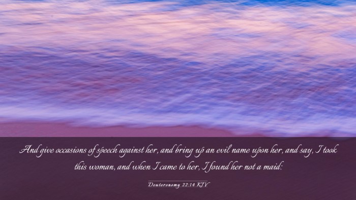 Picture 03 - Deuteronomy 22:14 KJV Desktop Wallpaper - And give occasions of speech against her, and - Desktop Bible Verse Wallpaper