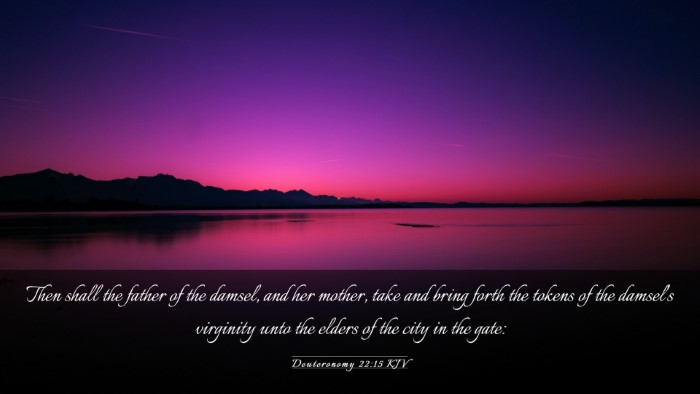 Picture 03 - Deuteronomy 22:15 KJV Desktop Wallpaper - Then shall the father of the damsel, and her - Desktop Bible Verse Wallpaper