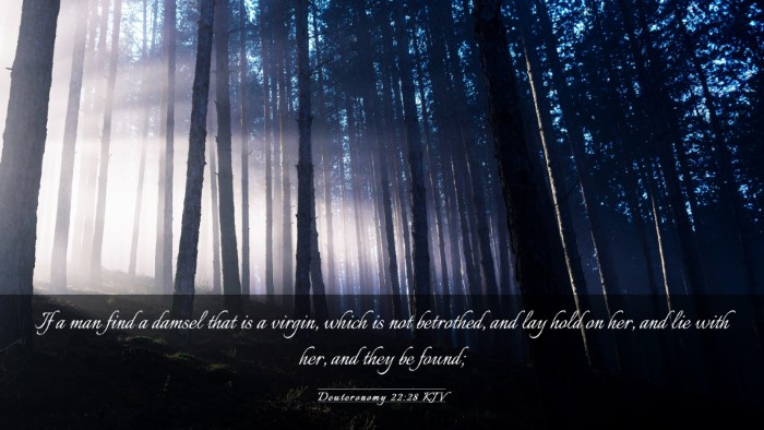 Picture 03 - Deuteronomy 22:28 KJV Desktop Wallpaper - If a man find a damsel that is a virgin, which is - Desktop Bible Verse Wallpaper