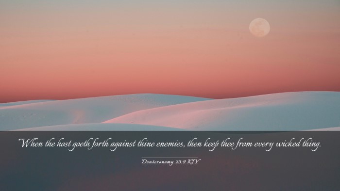 Picture 03 - Deuteronomy 23:9 KJV Desktop Wallpaper - When the host goeth forth against thine enemies, - Desktop Bible Verse Wallpaper