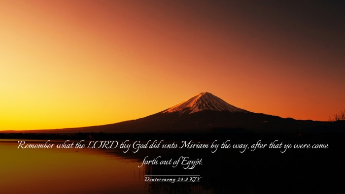 Picture 03 - Deuteronomy 24:9 KJV Desktop Wallpaper - Remember what the LORD thy God did unto Miriam by - Desktop Bible Verse Wallpaper