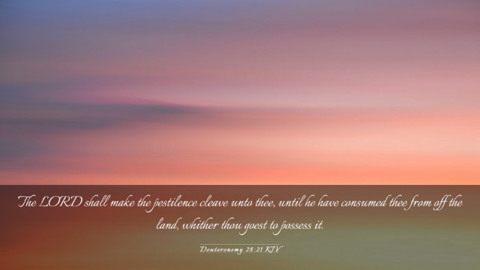 Picture 03 - Deuteronomy 28:21 KJV Desktop Wallpaper - The LORD shall make the pestilence cleave unto - Desktop Bible Verse Wallpaper