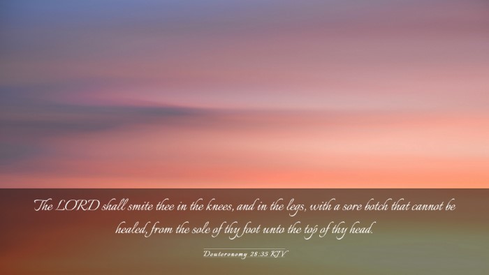 Picture 03 - Deuteronomy 28:35 KJV Desktop Wallpaper - The LORD shall smite thee in the knees, and in - Desktop Bible Verse Wallpaper