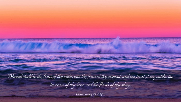 Picture 03 - Deuteronomy 28:4 KJV Desktop Wallpaper - Blessed shall be the fruit of thy body, and the - Desktop Bible Verse Wallpaper