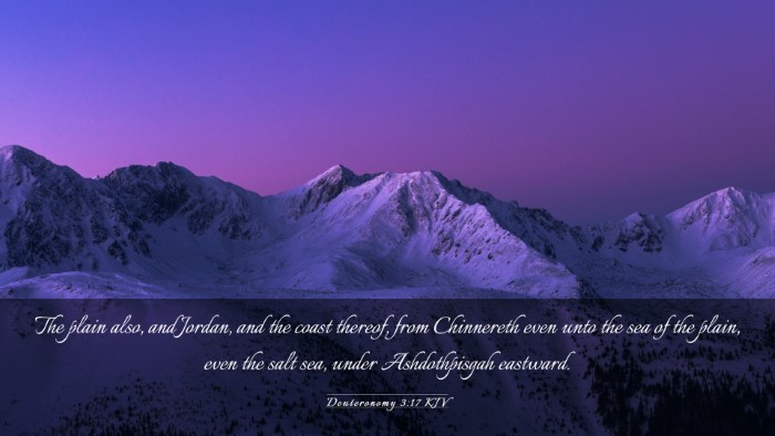 Picture 03 - Deuteronomy 3:17 KJV Desktop Wallpaper - The plain also, and Jordan, and the coast - Desktop Bible Verse Wallpaper