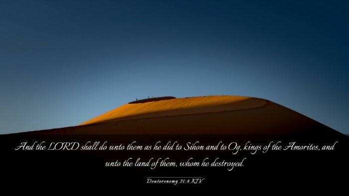 Picture 03 - Deuteronomy 31:4 KJV Desktop Wallpaper - And the LORD shall do unto them as he did to - Desktop Bible Verse Wallpaper