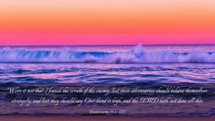 Picture 03 - Deuteronomy 32:27 KJV Desktop Wallpaper - Were it not that I feared the wrath of the enemy, - Desktop Bible Verse Wallpaper