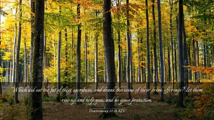Picture 03 - Deuteronomy 32:38 KJV Desktop Wallpaper - Which did eat the fat of their sacrifices, and - Desktop Bible Verse Wallpaper