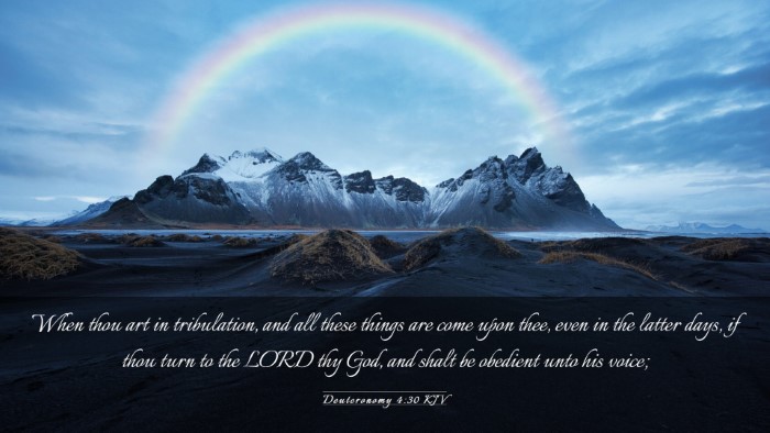 Picture 03 - Deuteronomy 4:30 KJV Desktop Wallpaper - When thou art in tribulation, and all these - Desktop Bible Verse Wallpaper