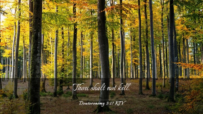Picture 03 - Deuteronomy 5:17 KJV Desktop Wallpaper - Thou shalt not - Desktop Bible Verse Wallpaper