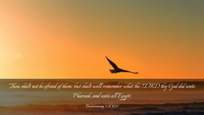 Picture 03 - Deuteronomy 7:18 KJV Desktop Wallpaper - Thou shalt not be afraid of them: but shalt well - Desktop Bible Verse Wallpaper