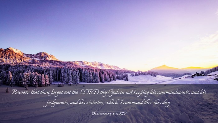 Picture 03 - Deuteronomy 8:11 KJV Desktop Wallpaper - Beware that thou forget not the LORD thy God, in - Desktop Bible Verse Wallpaper