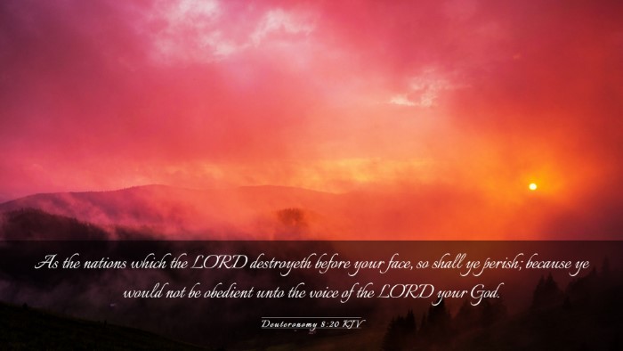 Picture 03 - Deuteronomy 8:20 KJV Desktop Wallpaper - As the nations which the LORD destroyeth before - Desktop Bible Verse Wallpaper