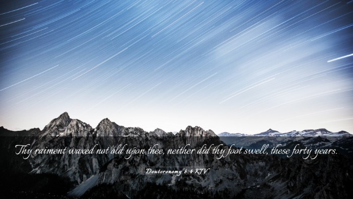Picture 03 - Deuteronomy 8:4 KJV Desktop Wallpaper - Thy raiment waxed not old upon thee, neither did - Desktop Bible Verse Wallpaper