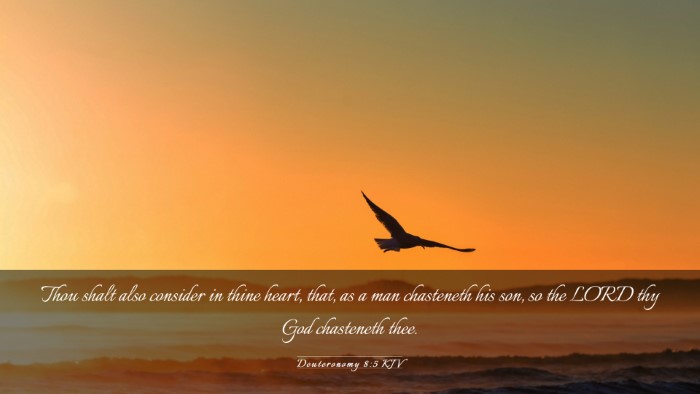 Picture 03 - Deuteronomy 8:5 KJV Desktop Wallpaper - Thou shalt also consider in thine heart, that, as - Desktop Bible Verse Wallpaper