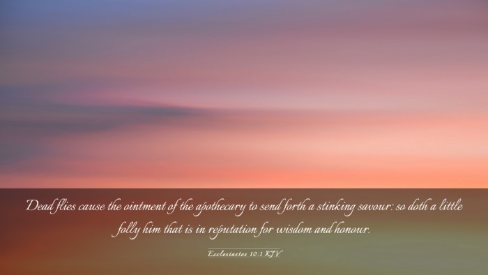 Picture 03 - Ecclesiastes 10:1 KJV Desktop Wallpaper - Dead flies cause the ointment of the apothecary - Desktop Bible Verse Wallpaper